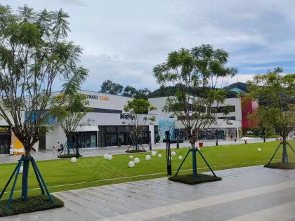 省紡織廠宿舍居住體驗全解析 優勢、不足、物管與周邊中介評價